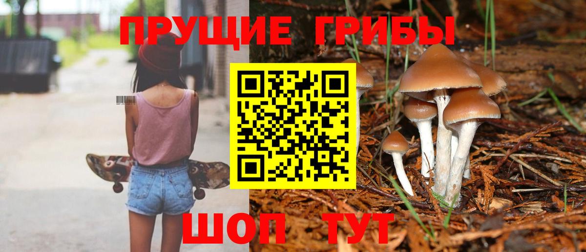 Псилоцибиновые грибы мицелий Тамбов
